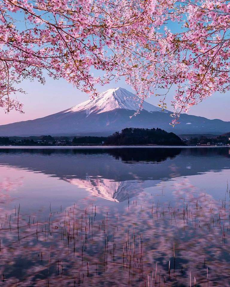 Mount Fuji